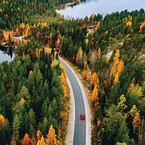 Environment Image